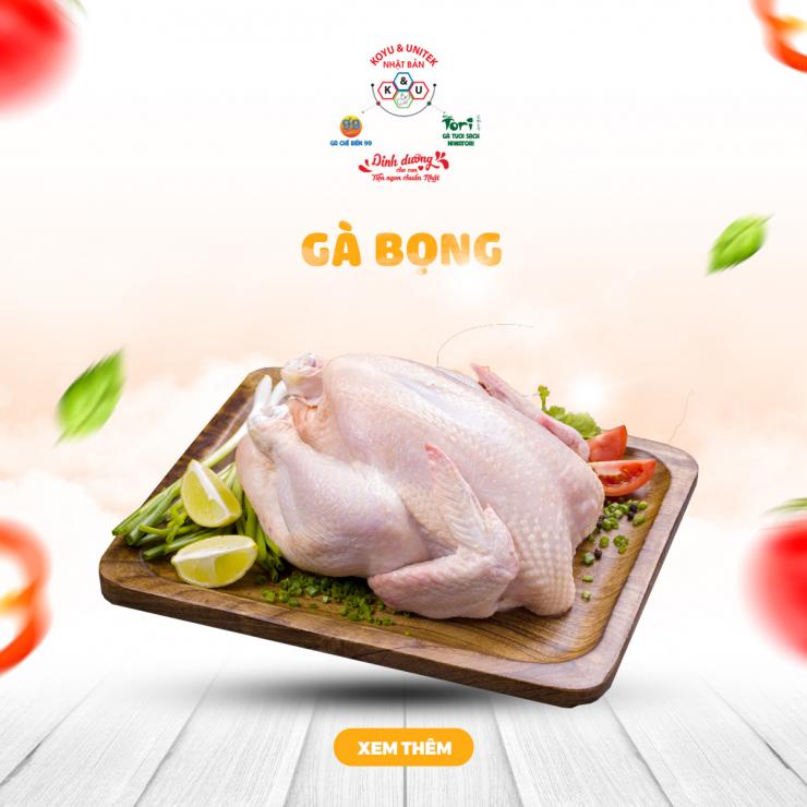 Gà Bọng